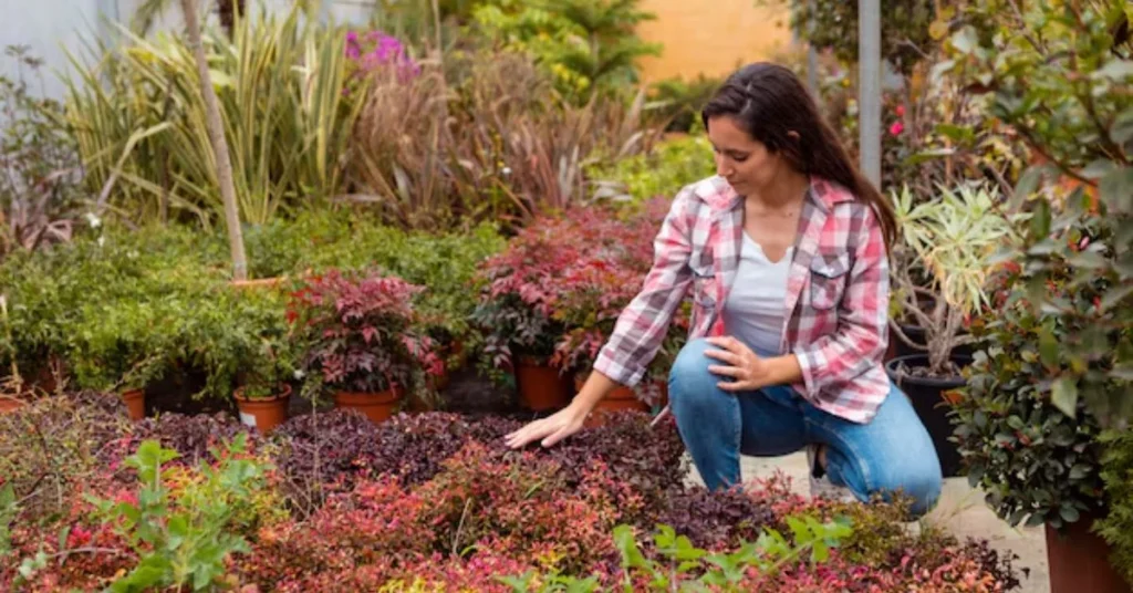 Gardening with Creekside