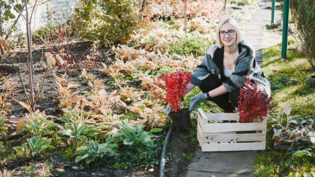 How to Get a Garden Bed in Seattle