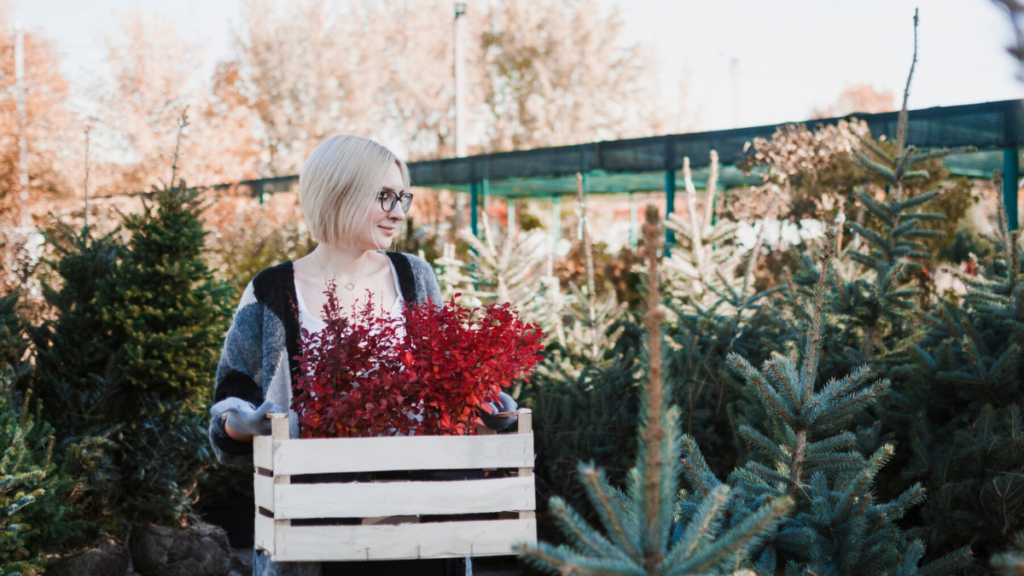 How to Get a Garden Bed in Seattle