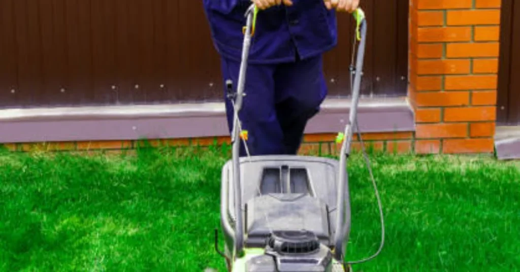 Sunday Lawn Care Reviews