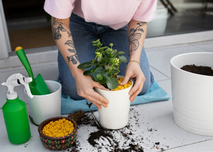 a diy guide to custom hydroponic fertilizers